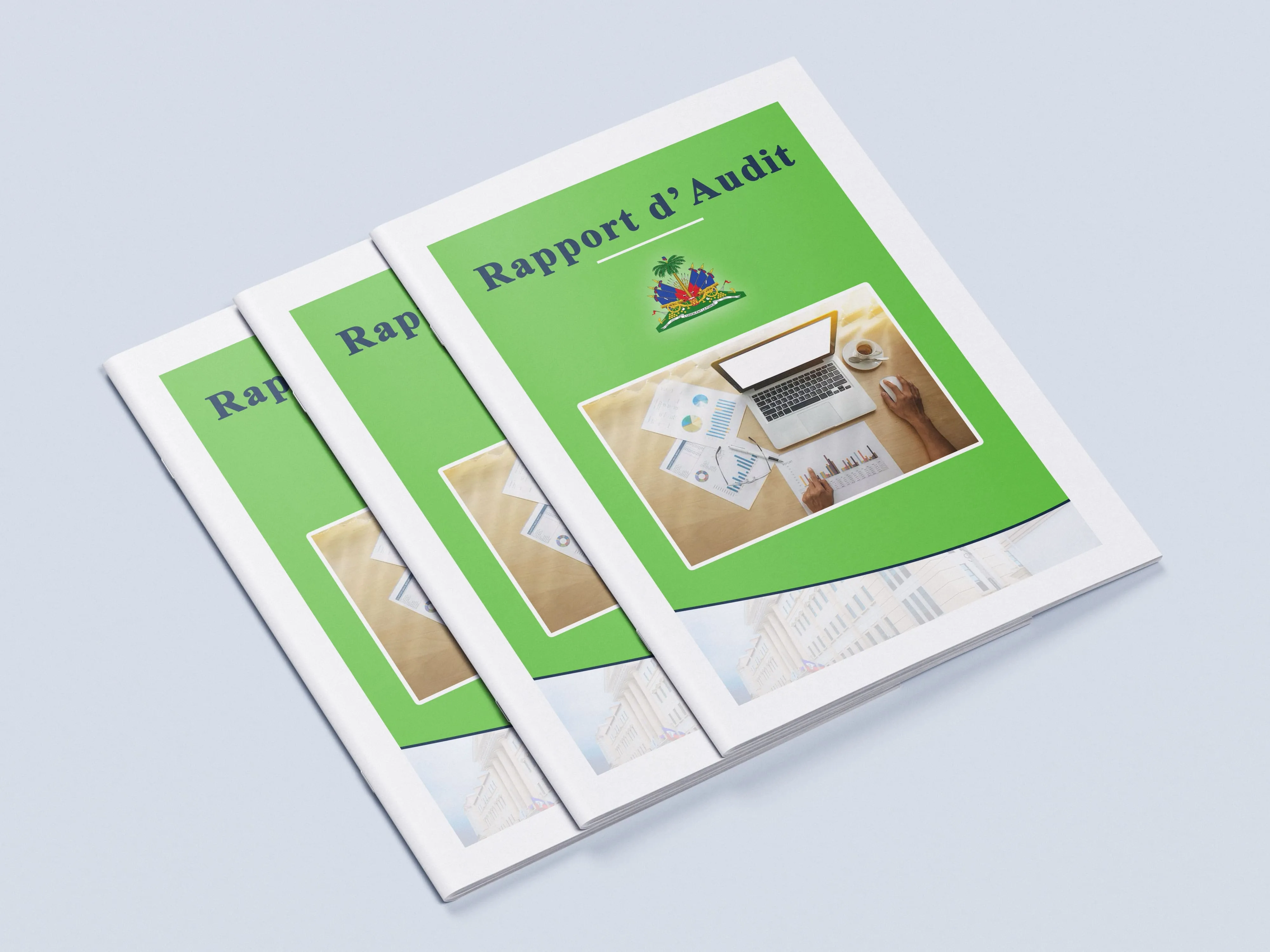 Image du rapport